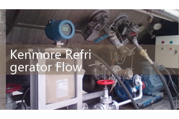 Kenmore Refrigerator Flow Meter Troubleshooting: Fixing Clogged Water Dispenser Inlets and Ice Maker Failures
